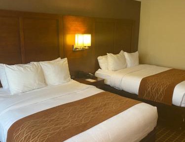 Queen Room with Two Queen Beds - Non-Smoking