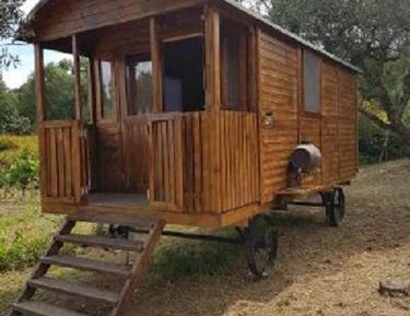 Mobile Home