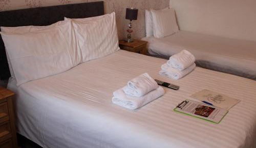 Double or Twin Room - Room 8