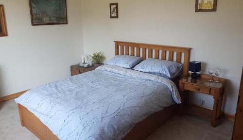 King Room with Garden View