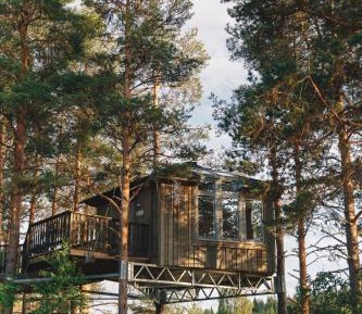 Bird's Nest Studio 