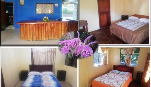 Single Room with Bathroom