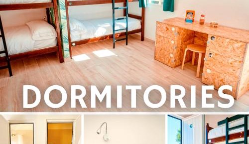 Bed in 4-Bed Dormitory Room