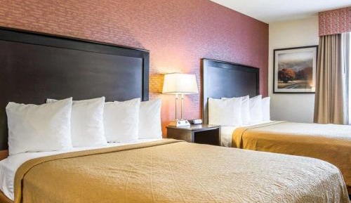 Queen Room with Two Queen Beds - Non-Smoking