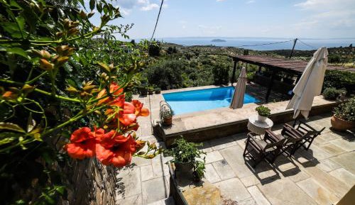 Apartment with Pool View 