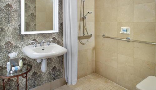 Accessible Traditional Room 1 King Bed with Roll-in Shower 