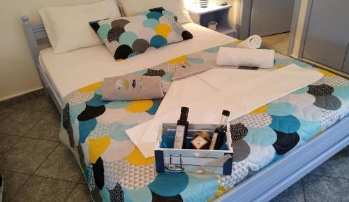 Standard Apartment