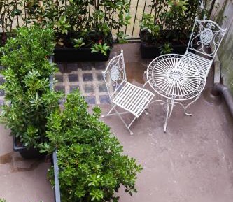 Junior Suite with Terrace