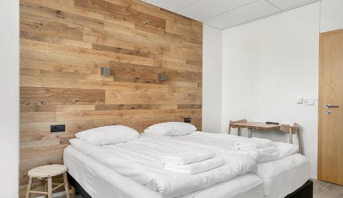 Studio Apartment - Basement