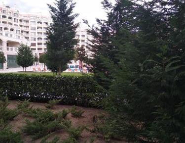 Two-Bedroom Apartment - Ground Floor 