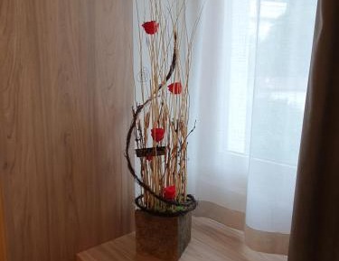 Double or Twin Room with Shower