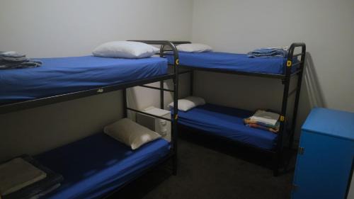Bed in 4-Bed Mixed Dormitory Room