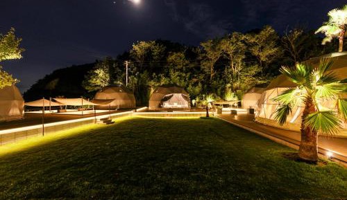 Tent with Forest View