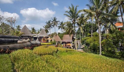 One-Bedroom Panoramic Villa with Private Pool and  Rice Paddy View