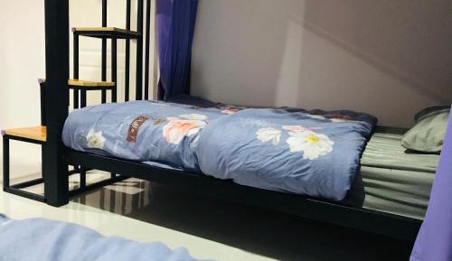 Bunk Bed in Female Dormitory Room  