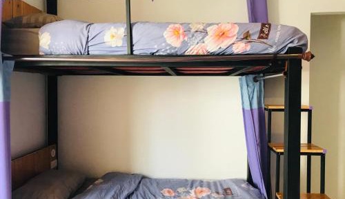 Bunk Bed in Mixed Dormitory Room