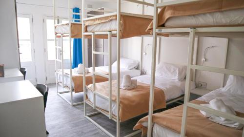 Bed in 6-Bed Mixed Dormitory Room