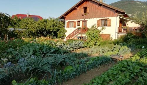 Single Room with Garden View