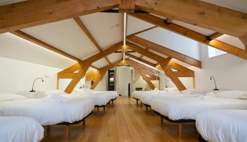 Single Bed in 10-Bed Mixed Dormitory Room