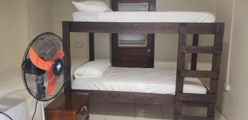 Bunk Bed in Mixed Dormitory Room