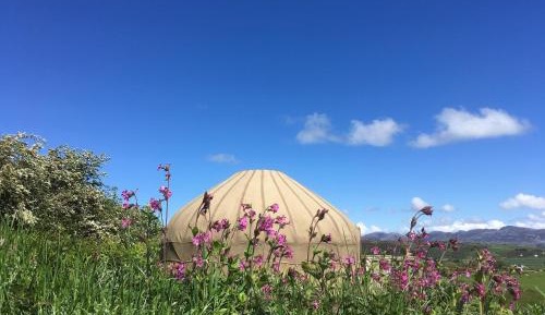 TENT 4