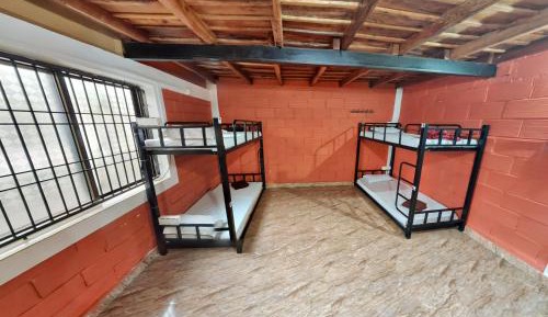 Bed in 8-Bed Dormitory Room