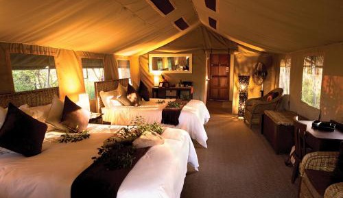 Family Safari Tent (FS2)