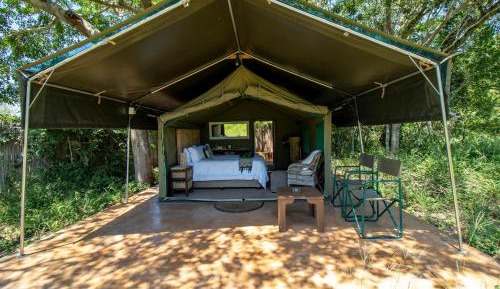 Double Safari Tent (DS18)
