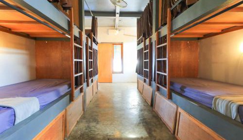 Bed in 8-Bed Dormitory Room