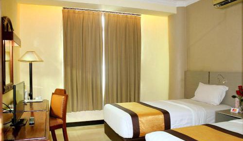 Superior Double or Twin Room