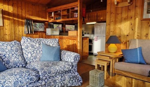 Conifer Chalet 8