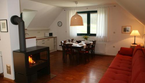 Comfort One-Bedroom Apartment with Chimney