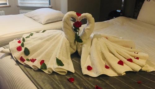 Classic Single Room