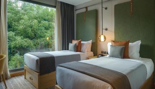 Standard Twin Room