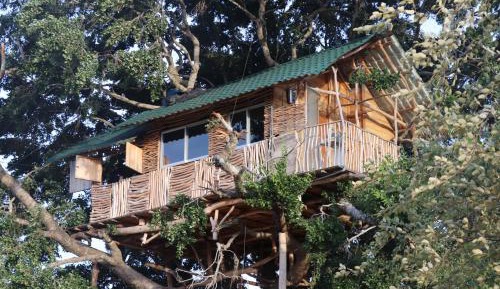 Treehouse