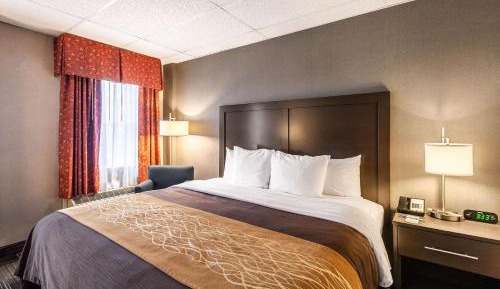 Standard Room with One King Bed - Courtyard View