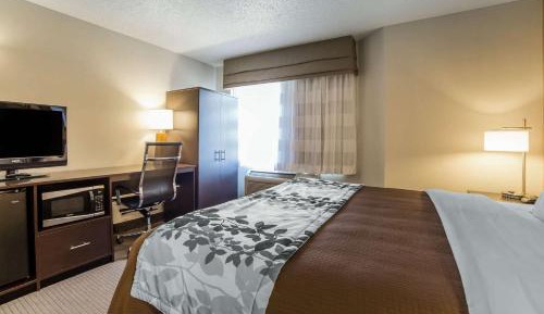 King Room - Non-Smoking