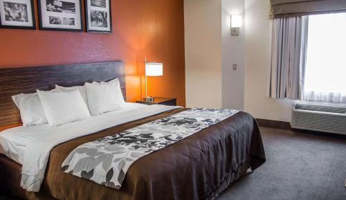 King Room - Accessible/Non-Smoking
