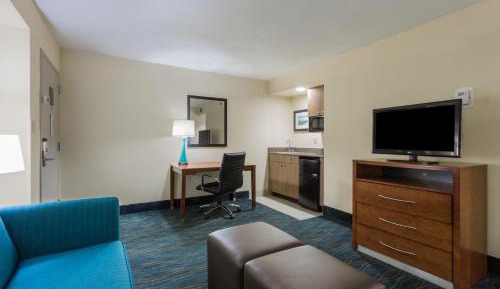 One-Bedroom King Suite