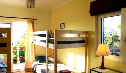 Bunk Bed in Mixed Dormitory Room