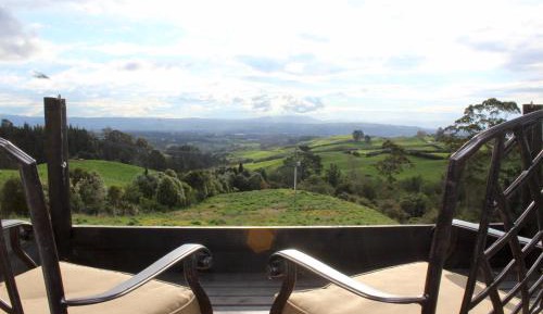 Deluxe Double or Twin Room with Mountain View