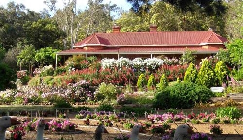 Jarrah Triple Room with Shared Bathroom