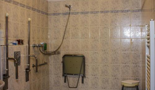 King Room with Roll-In Shower - Disability Access