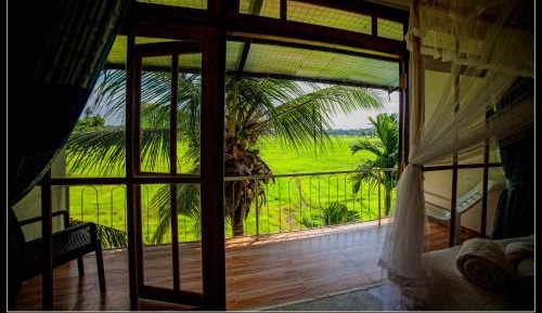 Deluxe Double Room with Balcony & Rice Paddy View