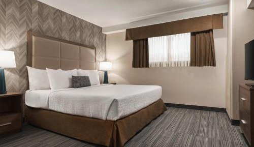 Business King Suite with Sofa Bed
