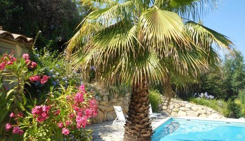 Double Room with Pool View