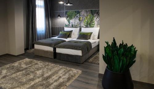 Standard Double or Twin Room