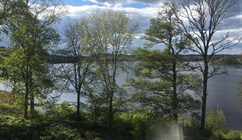 Double Room with Lake View