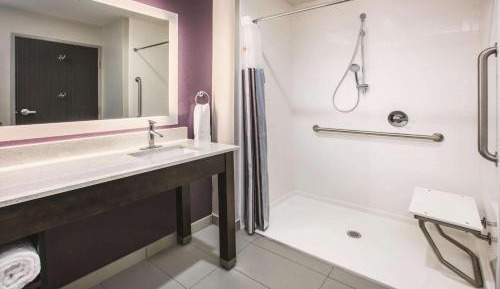 1 King Bed, Executive Mobility Accessible Room, Roll-In Shower, Non-Smoking