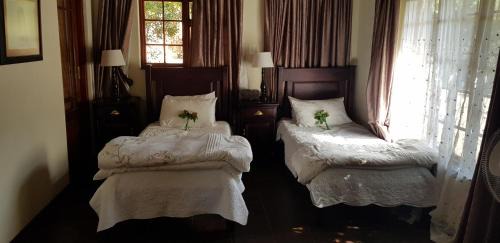 Swainson Standard Suite